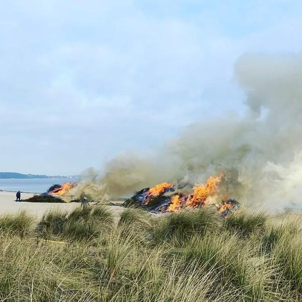 Fehlalarm_Abbrennen_Osterfeuer