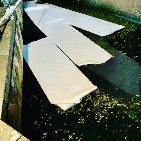 TH_AUST_Wasser_�lsaugflie�